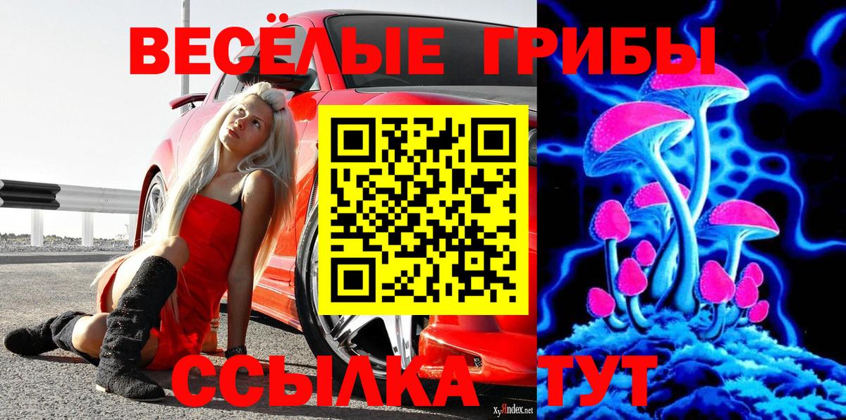 Псилоцибиновые грибы прущие грибы Чебоксары