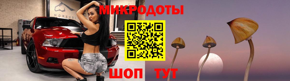 купить  сайты  Вход с VPN  Чебоксары  Псилоцибиновые грибы Psilocybine cubensis  Галлюциногенные грибы Cubensis 
